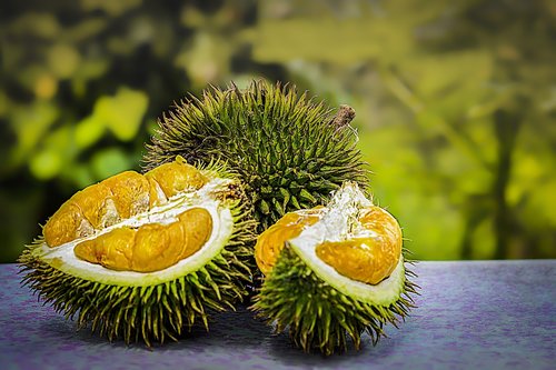 Durian,  Vaisių,  Tropical,  Malaizija,  Smirdantis,  Thorn,  Žemdirbystė,  Erškėčiuotas Vaisių,  Durian Vaisių,  Tropinių Vaisių,  Organinė,  Egzotiškas,  Kalnų Durian,  Laukinių Durian