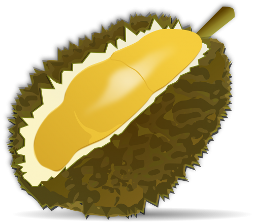 Durian Vaisiai, Vaisiai, Maistas, Durio, Malvaceae, Tailandas, Saldainiai, Žalias, Geltona, Supjaustyti, Atidarytas, Nemokama Vektorinė Grafika