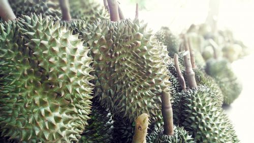 Durian Vaisiai, Durian, Anglų Vaisius, Maistas, Vaisiai, Tailando Vaisiai