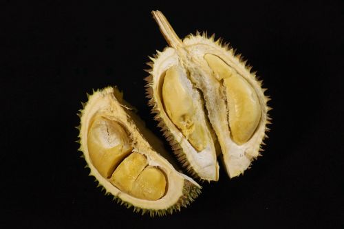 Durian Vaisiai, Vaisių Karalius, Atogrąžų, Skanus, Kietas Vaisius, Malaizija