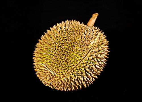 Durian Vaisiai, Vaisių Karalius, Kietas Vaisius, Atogrąžų, Skanus, Visas Vaisius, Malaizija