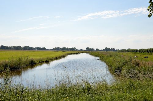 Kraštovaizdis,  Panorama,  Olandų,  Holland,  Pieva,  Gamta,  Vaizdas,  Olandų Kraštovaizdis