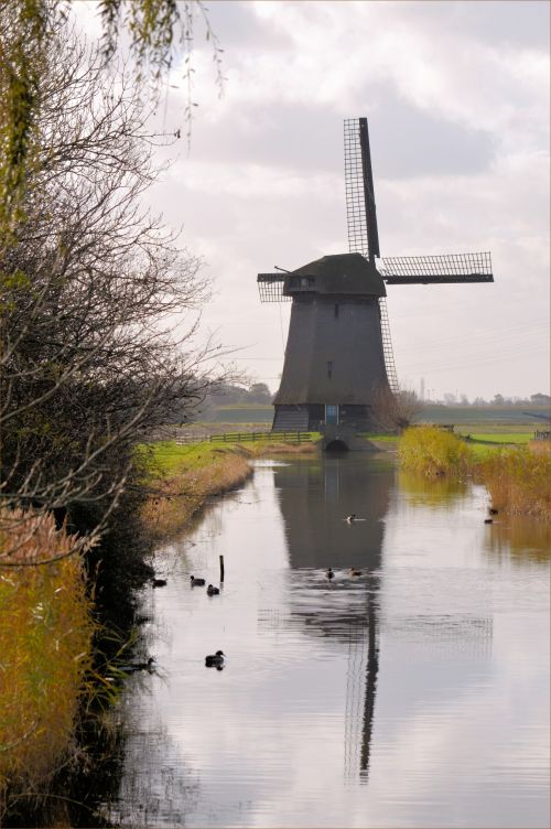 Vėjo Malūnas,  Tradicija,  Holland,  Kultūra,  Olandų Vėjo Malūnas