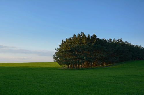 Žemė, Kraštovaizdis, Medis, Žalias, Mėlynas, Dangus, Gamta