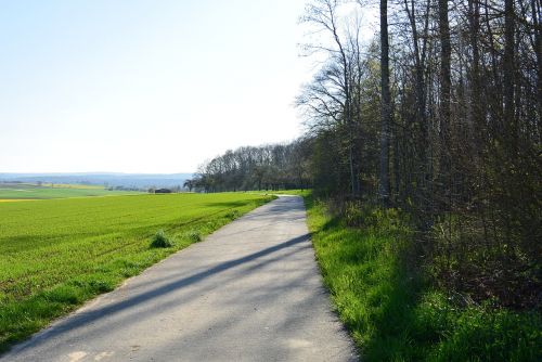 Miško Pakraštis, Toli, Pieva, Laukas, Vaikščioti, Gamta