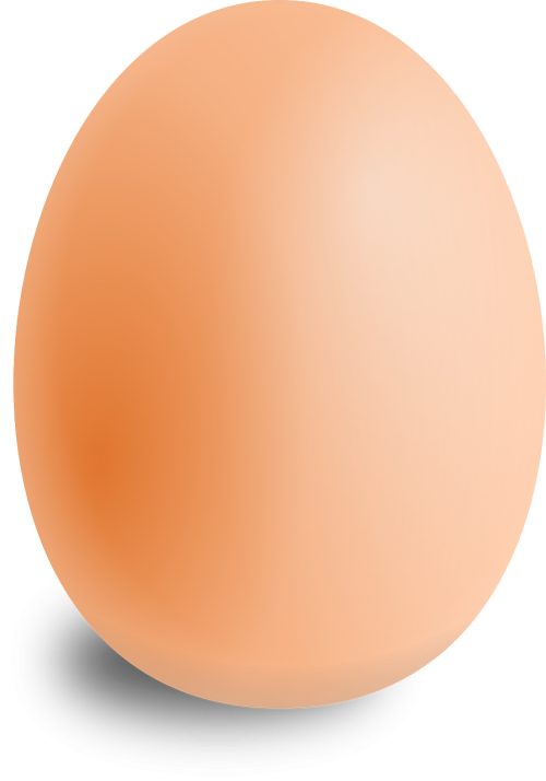 Kiaušinis, Ovalus, Maistas, Apvalus, Nemokama Vektorinė Grafika