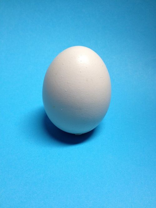 Kiaušinis, Pietūs, Mityba, Originalas