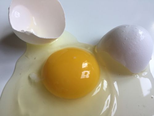 Kiaušinis, Supjaustytas Kiaušinis, Baltasis Kiaušinis