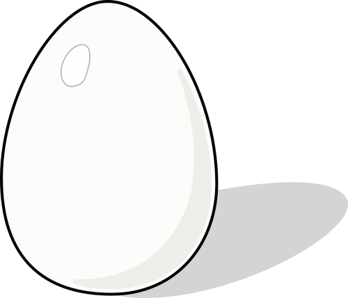 Kiaušinis, Naminiai Paukščiai, Baltymas, Žaliavinis, Nemokama Vektorinė Grafika