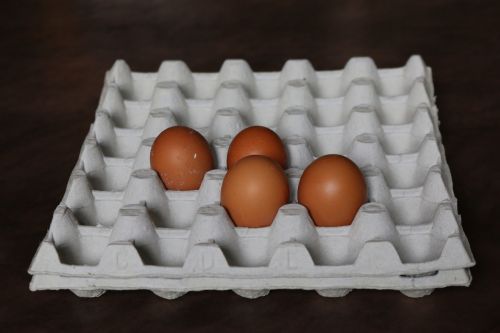 Kiaušinis,  Kiaušinių Dėklas,  Virtuvė,  Vištų Kiaušinis,  Velykos,  Be Honoraro Mokesčio