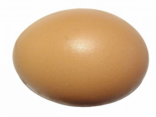 Kiaušinis, Kiaušinio Plekšnė, Baltymas, Lukštas, Kiaušialąstė, Maistas, Ingredientas, Izoliuotas, Virėjas