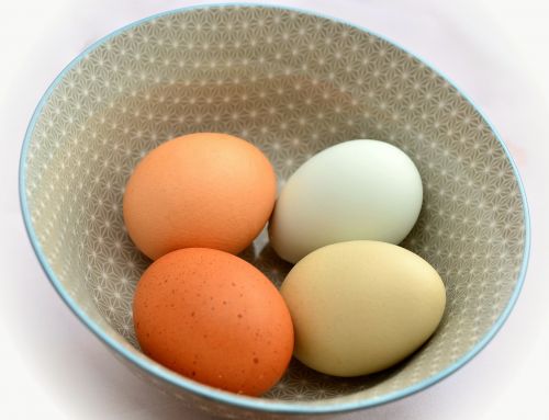 Kiaušinis, Rudieji Kiaušiniai, Žalia Atsitiktinis, Vištos Kiaušinis, Mityba, Maistas
