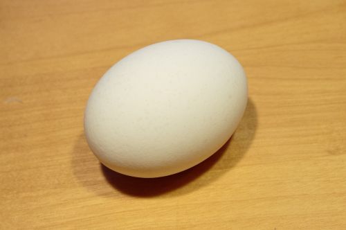 Kiaušinis,  Balta,  Medinis,  Bazė