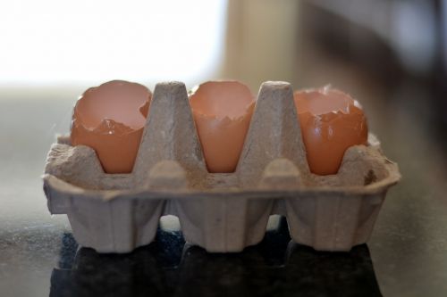 Kiaušinių Konteineriai, Tušti Konteineriai, Kiaušiniai