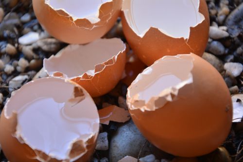 Kiaušinių Lukštai, Sunaikintas, Tuščia