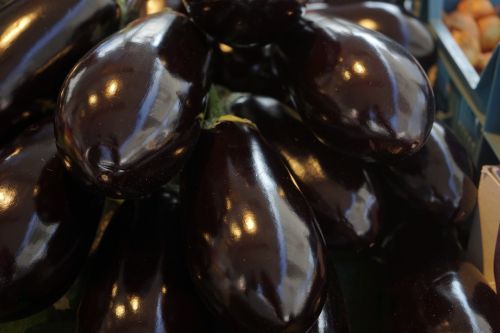 Baklažanas, Daržovės, Solanum Melongena, Melanzana, Palikuonys, Solanum, Nachtschattengewächs, Solanaceae