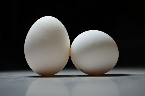 Kiaušiniai, Kiaušinis, Velykos, Balta, Viščiukų, Dėmesio, Bw, Makro