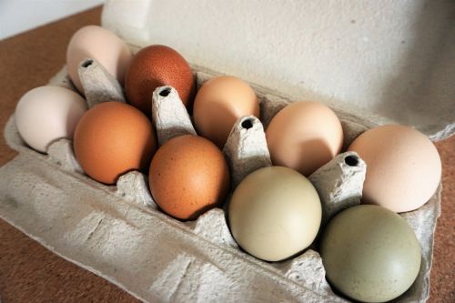 Kiaušiniai, Laisvas Asortimentas, Ekologiškas, Maistas