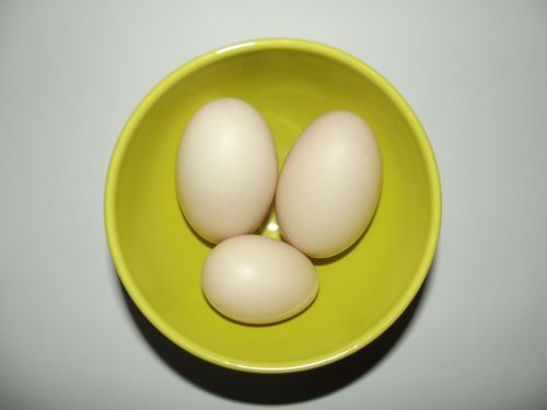 Kiaušinis, Ančių Kiaušiniai, Dideli Kiaušiniai, Dubuo, Žalias