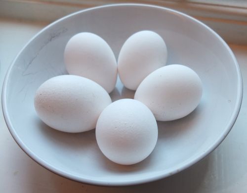 Kiaušiniai, Patiekalas, Balta, Maistas, Ekologiškas, Dubuo