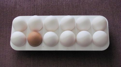 Kiaušiniai, Maistas, Pusryčiai, Balta, Baltymas, Vištiena