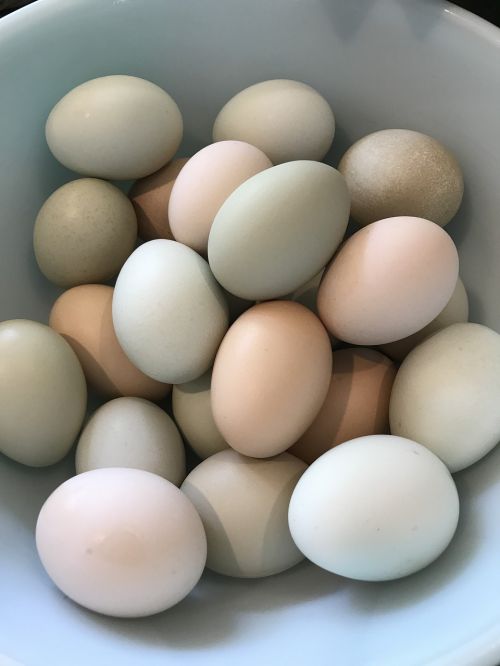 Kiaušiniai, Pastelė, Namuose, Ekologiškas, Maistas