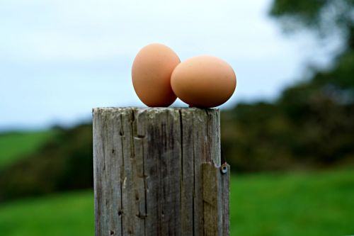 Kiaušiniai, Ūkis Šviežias, Pusryčiai, Mityba, Baltymas, Sveikas, Energija