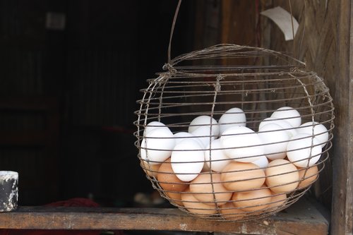 Kiaušiniai,  Kaimas,  Parduotuvė,  Bangladešas