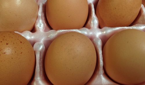 Kiaušiniai,  Rudieji Kiaušiniai,  Vištiena,  Ekologiškas,  Lukštas,  Pusryčiai,  Šviežias,  Ūkis
