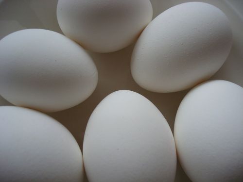 Kiaušiniai, Balta, Pusryčiai, Baltymas, Velykos