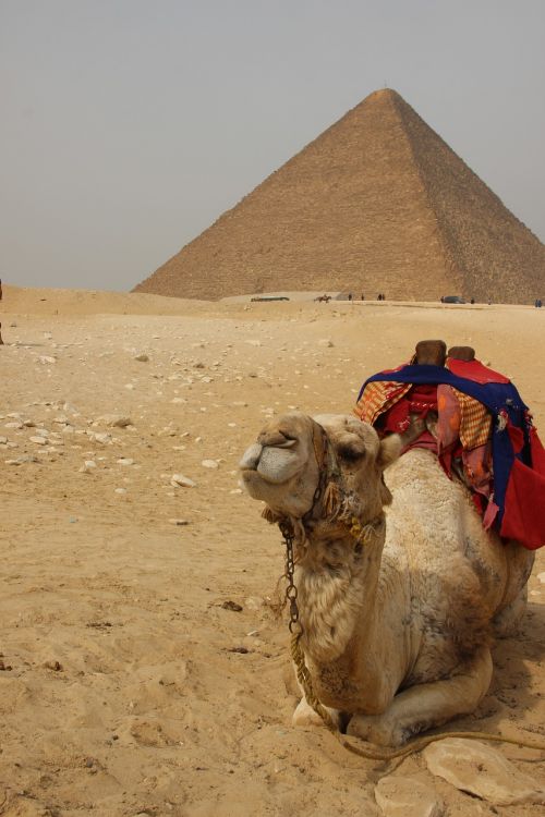 Egiptas, Afrika, Piramidė, Keliauti