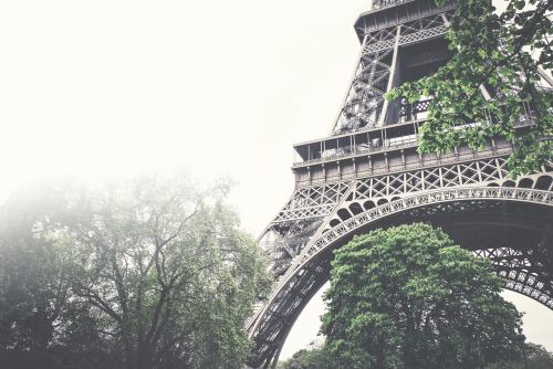 Eifelio Bokštas, Architektūra, Medžiai, Lapai, Gamta, Dangus, Rūkas