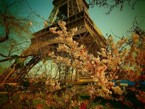 Eifelio Bokštas, Paris, France, Plieno Konstrukcija, Plienas, Bokštas, Architektūra, Pasaulio Mugė, Expo
