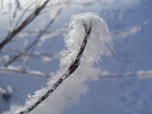 Eiskristalio, Auskaras, Žiema, Šaltis