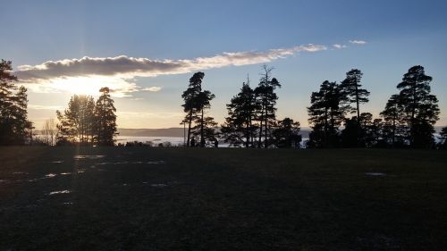 Ekeberg, Miškas, Pobūdis, Kraštovaizdis, Medžiai, Siluetas, Oslo, Norvegija
