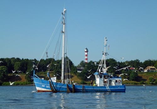 Elbe, Fischer, Žvejybos Laivas, Kahn, Pjaustytuvas, Upė, Hamburgas, Žvejyba