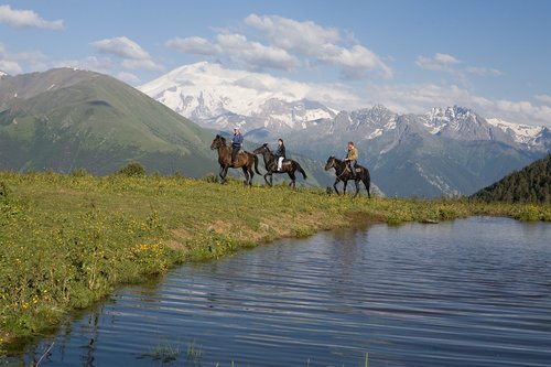 Elbrus Kalnų,  Šelmiškas,  Karačiajų-Čerkesijos,  Rusija,  Elbrus,  Arklys Karačis,  Mountain Horse