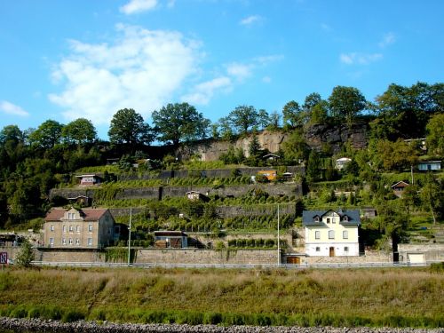 Elbufer, Saksonijos Šveicarija, Akmuo Ir Vynas, Vynuogynai, Vynuogių Auginimas, Dangus, Mėlynas, Vynuogynas