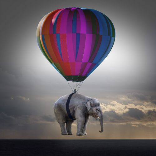 elephant weightless balloon