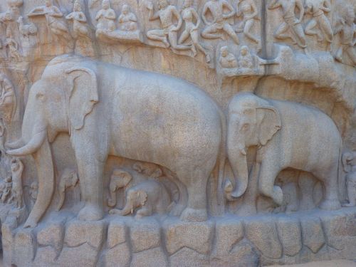 Dramblys, Palengvėjimas, Nusileidimas Iš Ganga, Mahabalipuramas, Mamallapuramas, Granitas, Akmuo, Indija