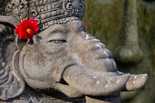 Dramblys, Hindu, Bali, Kultūra, Balinese