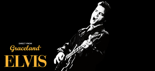Elvis, Presley, Muzikantas, Įžymybės, Atlikėjas, Elvis Presley