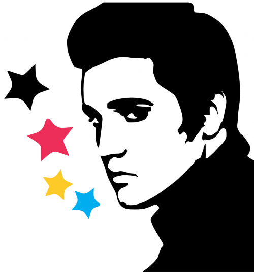 Elvis Presley, Jaunas, Roko Žvaigždė, Žvaigždės, Vyras, Asmuo, Veidas, Portretas, Nemokama Vektorinė Grafika