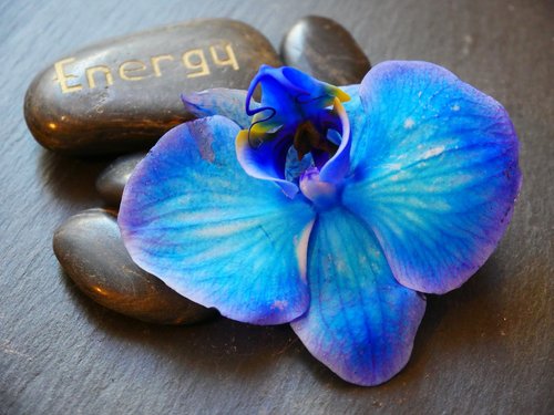 Energijos,  Sveikatingumo,  Orchidėjų,  Atsipalaiduoti,  Gyvenimo Būdas,  Iš Arti