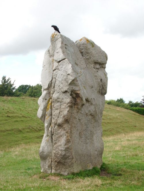 Anglija, Avebury, Pierre, Paukštis, Megalithe