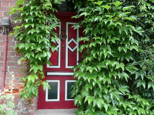 Įėjimo Durys,  Ivy Žalias,  Raudona,  Namai