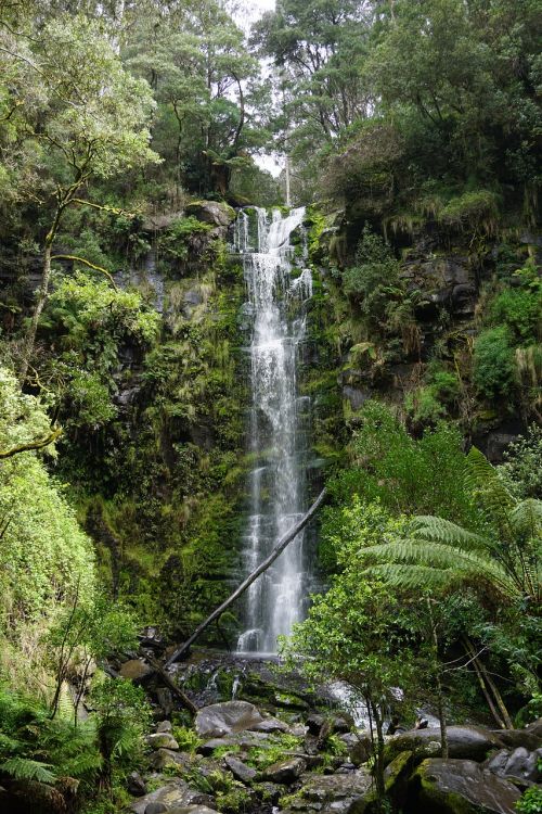 Erskine Falls, Ottways, Lorne, Puikus Okeaninis Kelias, Viktorija, Australia, Apolono Įlanka, Kraštovaizdis, Natūralus