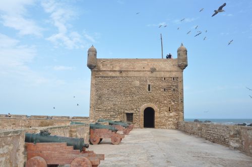 Esaouira, Uostas, Žvejyba