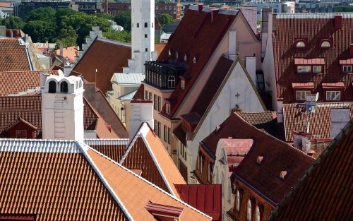 Estonia, Tallinn, Stogas, Plytelės, Architektūra