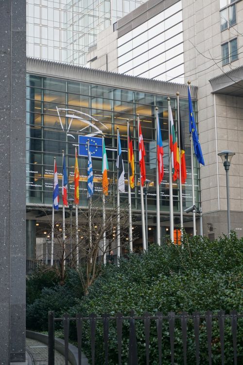 Eu,  Briuselis,  Parlamentas,  Vėliavos,  Europa,  Sąjunga